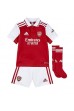 Fotbalové Dres Arsenal Gabriel Jesus #9 Dětské Domácí Oblečení 2022-23 Krátký Rukáv (+ trenýrky)